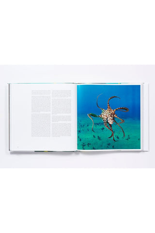 The Life and Love of the Sea Hardcover
