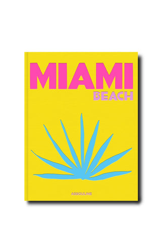 Miami Beach (Book)